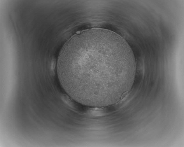 X0000112910082200908241214