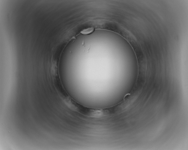 X0000112910083200908241214