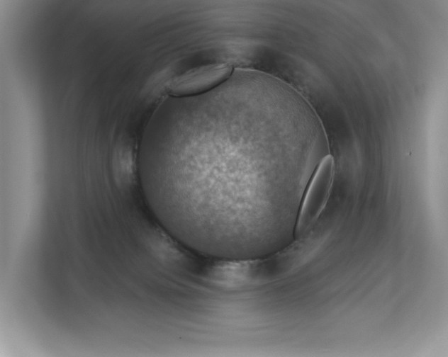 X0000112910084200908241214