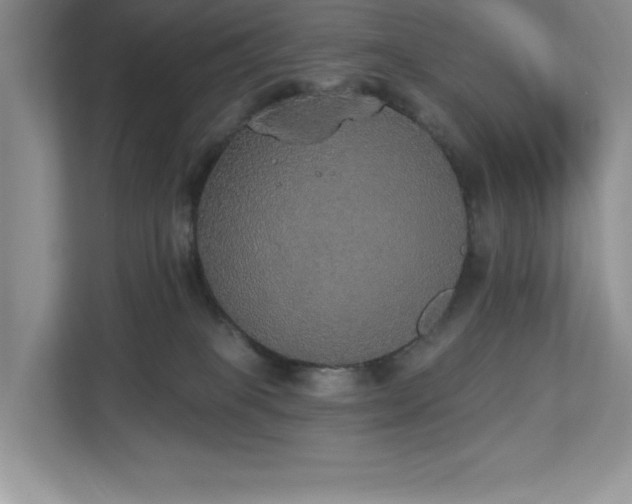 X0000112910085200908241214