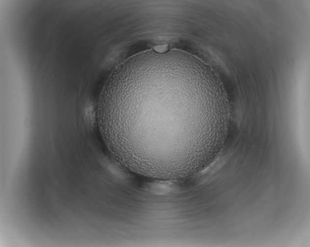 X0000112910086200908241214