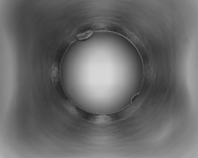 X0000112910087200908241214