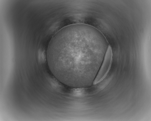 X0000112910088200908241214