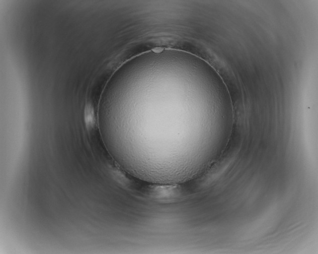 X0000112910089200908241215