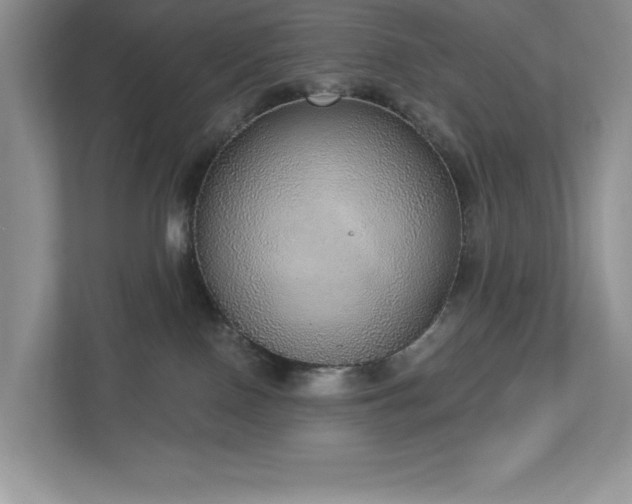 X0000112910090200908241215