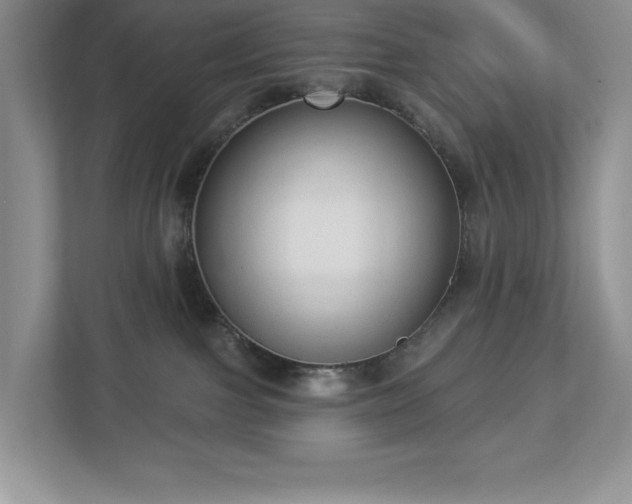 X0000112910091200908241215