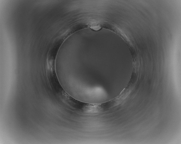 X0000112910093200908241215