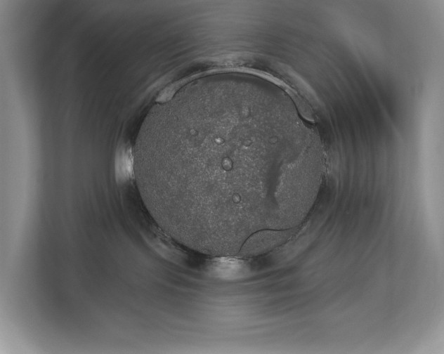 X0000112910095200908241215