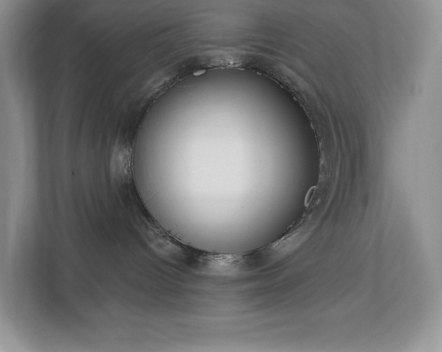 X0000112910096200908241215