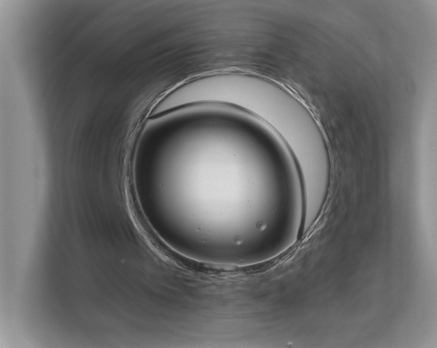 X0000112910097200908241214