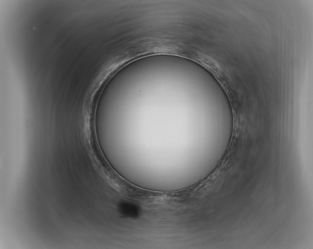 X0000112910098200908241214