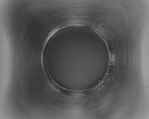 X0000112910099200908241214