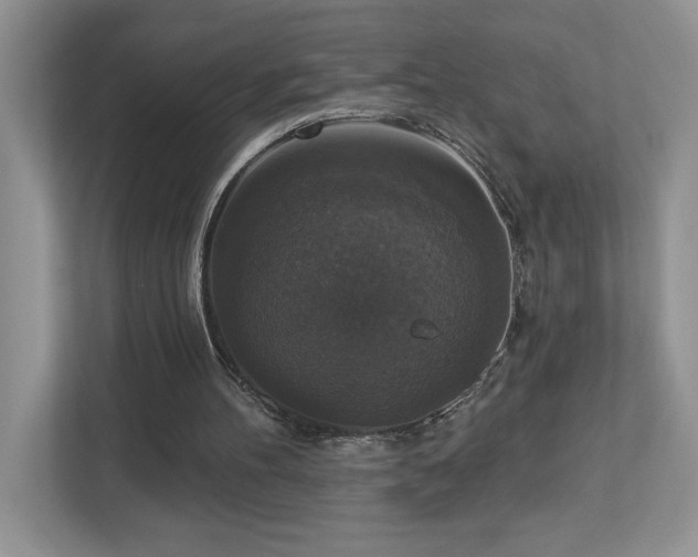 X0000112910100200908241214