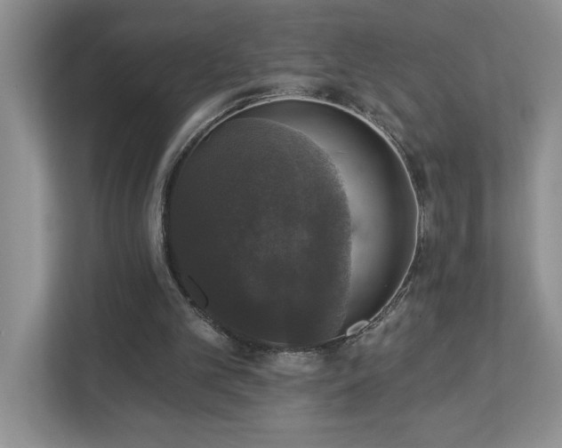 X0000112910101200908241214