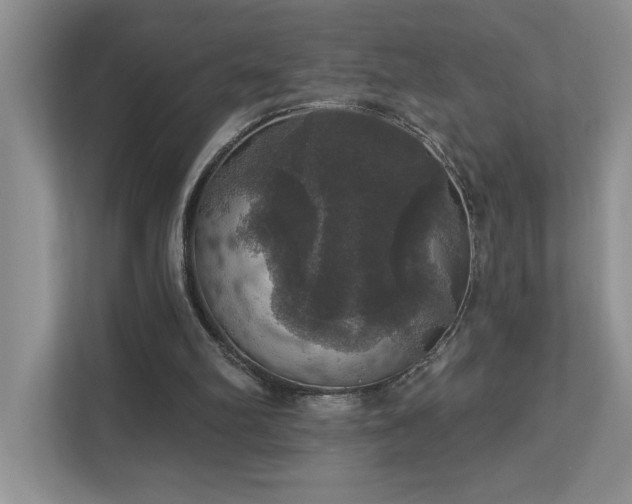 X0000112910102200908241214