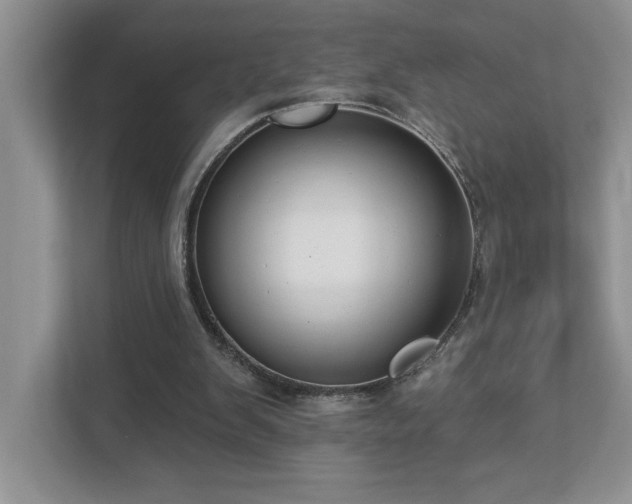 X0000112910103200908241214