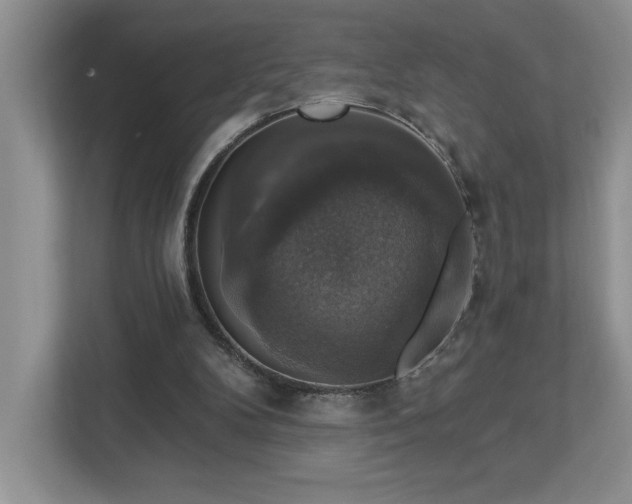 X0000112910104200908241214