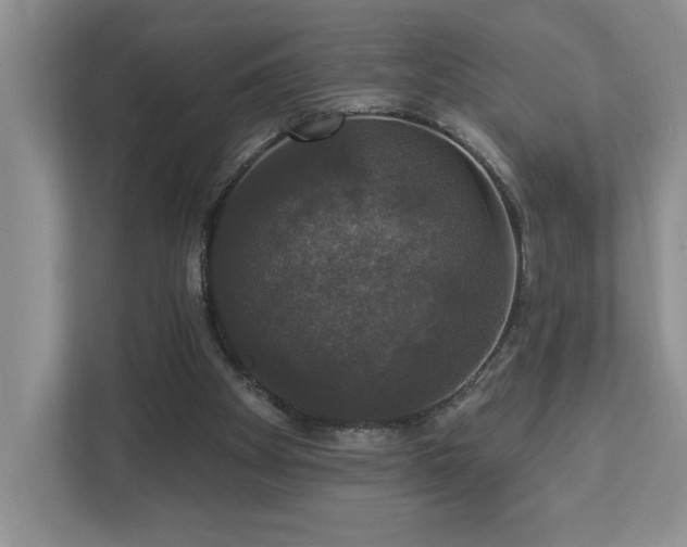 X0000112910105200908241214