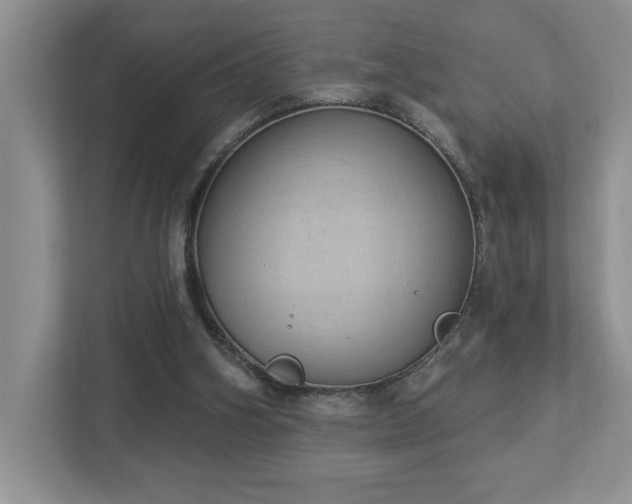 X0000112910106200908241214