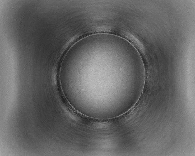 X0000112910107200908241214