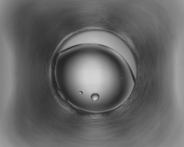 X0000112910108200908241214