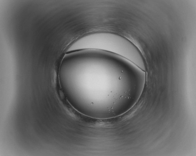 X0000112910109200908241214