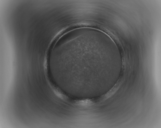 X0000112910112200908241214