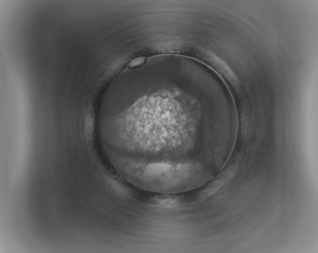 X0000112910113200908241214