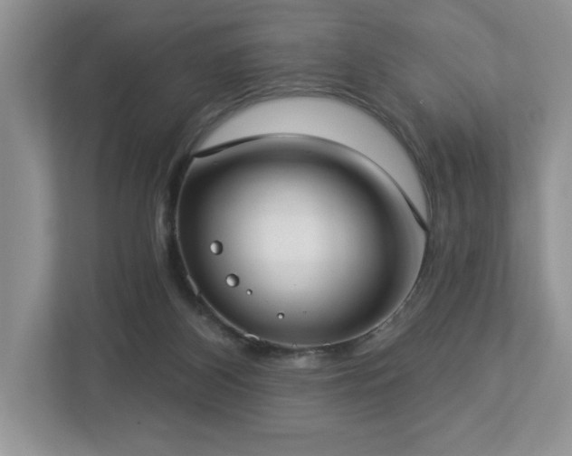 X0000112910116200908241214