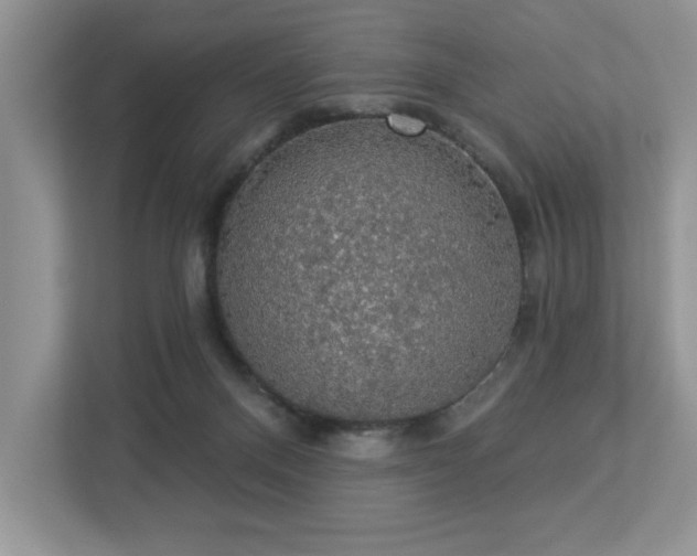 X0000112910120200908241214