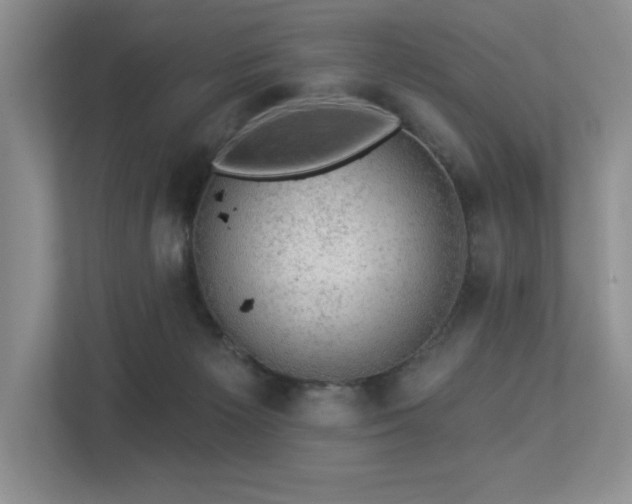 X0000112910125200908241214