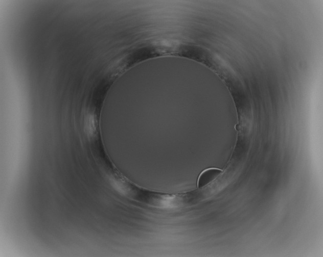 X0000112910130200908241214