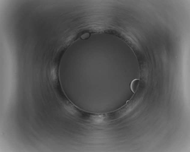 X0000112910131200908241214