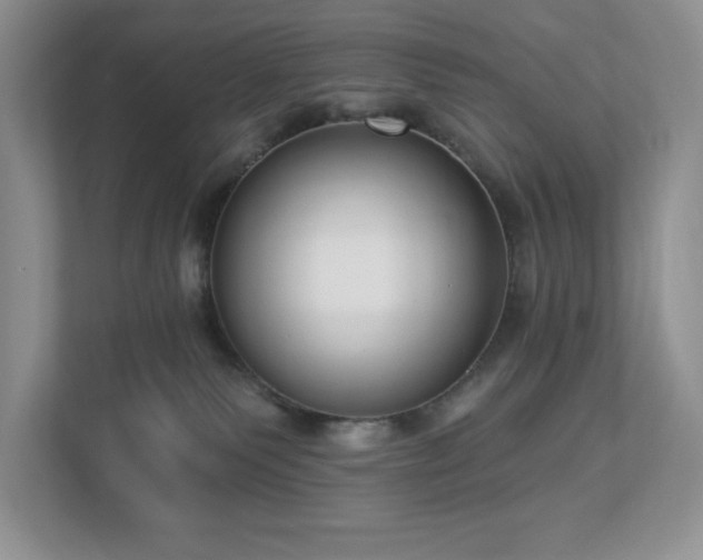 X0000112910135200908241213