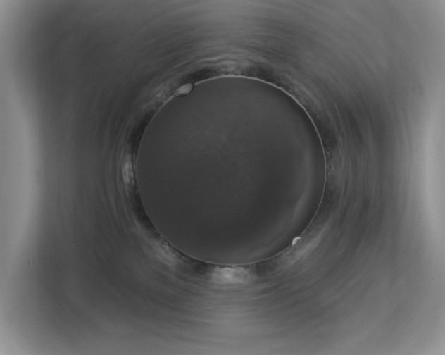 X0000112910137200908241213