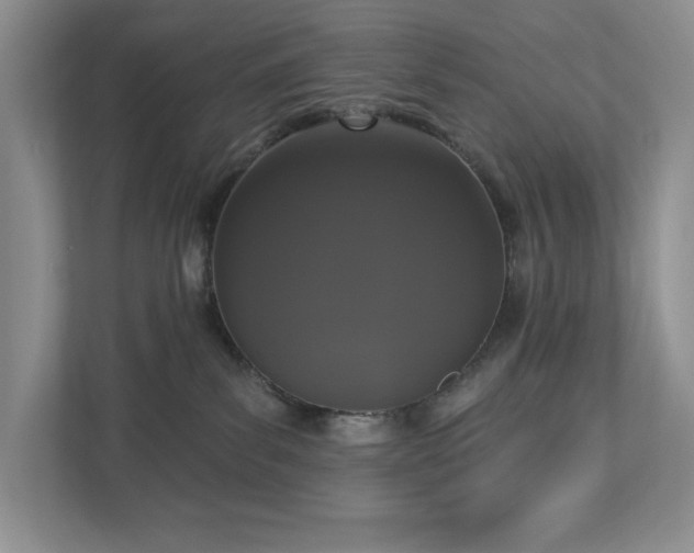 X0000112910139200908241213