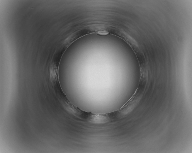 X0000112910141200908241213