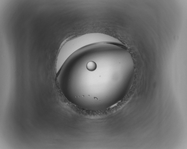 X0000112910144200908241213