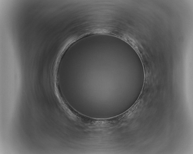 X0000112910145200908241213