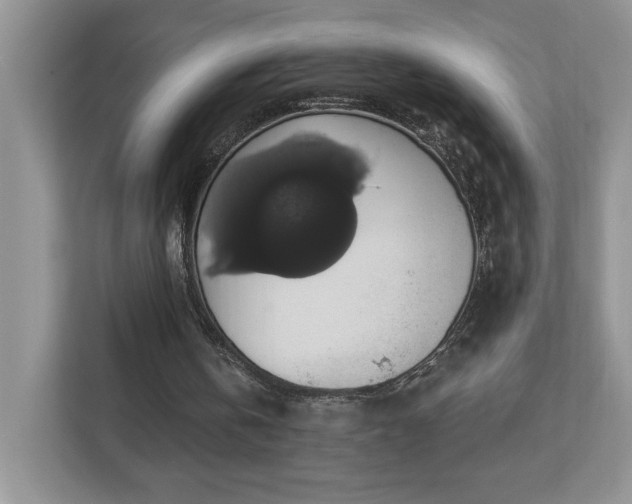 X0000112910146200908241213