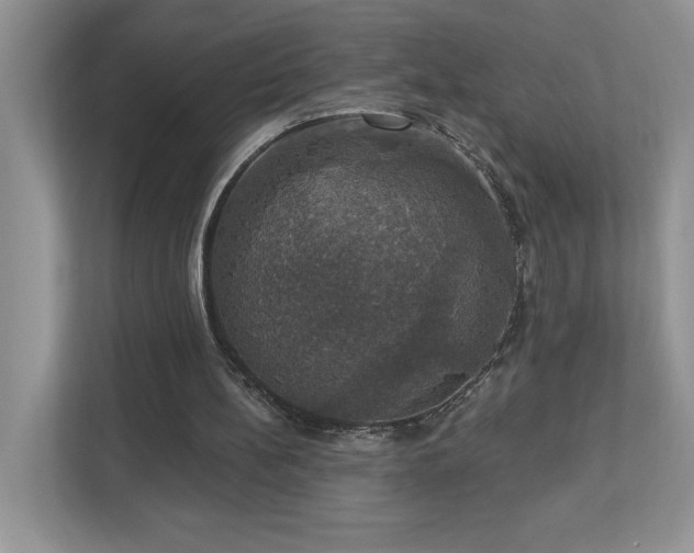 X0000112910148200908241213