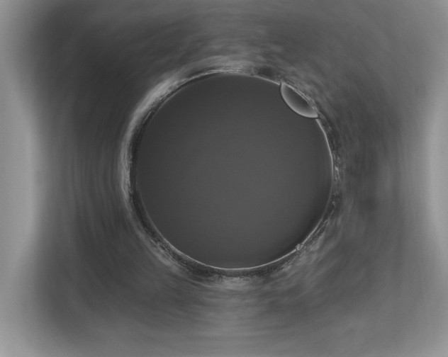 X0000112910149200908241213