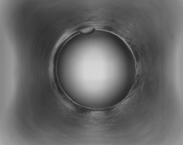 X0000112910150200908241213