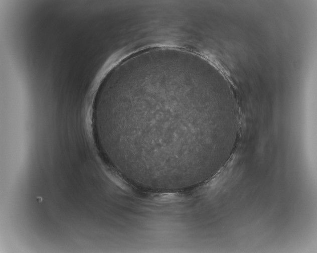 X0000112910151200908241213