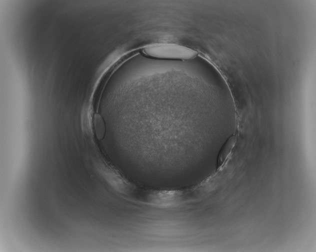 X0000112910152200908241213