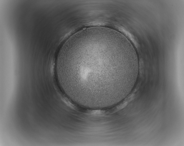 X0000112910153200908241213