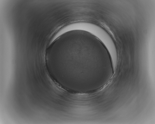 X0000112910154200908241213