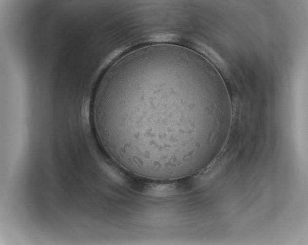 X0000112910155200908241213