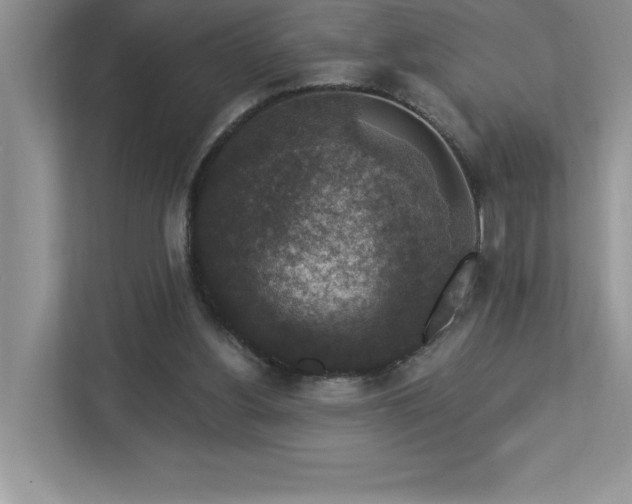 X0000112910156200908241213