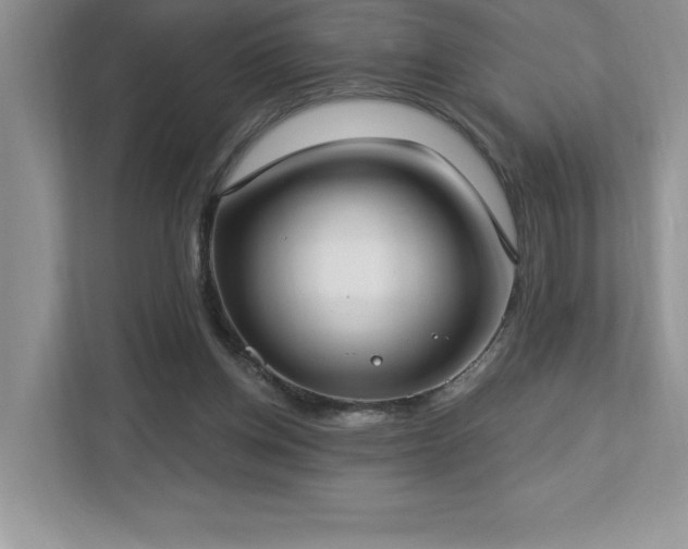 X0000112910158200908241213